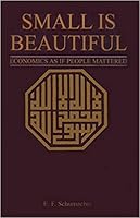 Small is Beautiful: Economics as if People Mattered Paperback – August, 1975 B010EUS39U Book Cover