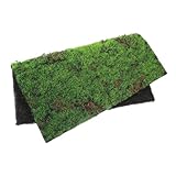 Haute durabilité : fabriqué avec des matériaux, ce gazon est résistant à l'usure, à la saleté, garantissant une , chemin de table en mousse, mousse pour l'artisanat