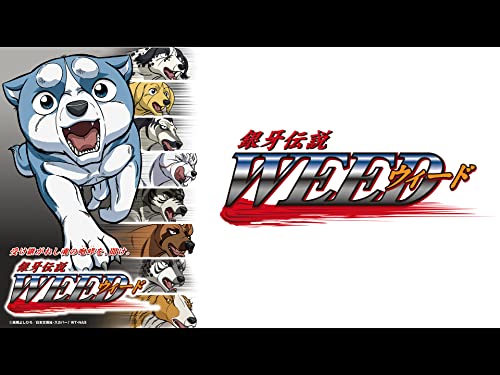 『銀牙伝説ウィード』