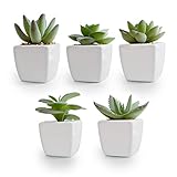 Korvea Set of 5 Artificial Succulent Plants in Ceramic Pots - Assorted Fake Succulents - Mini...