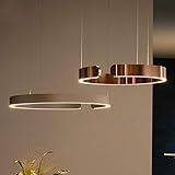 MZXUN Gold Ring Pendant Light LED Suspension Plume Lamp Modern Replica Design Home Decor Lighting Circle LED Hanglamp Luminaire (Body Color : Champaign Gold, Size : D40CM)