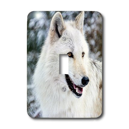 Cache interrupteur Rocky Mountain Grey Wolf 3dRose lsp_173721_1 finition luxe