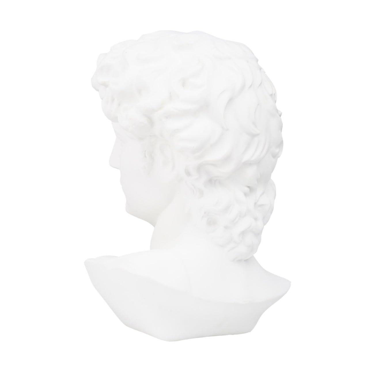 TEHAUX Buste de David en Résine Blanche 30 Cm Statue Esquisse Sculpturale Matériel Pédagogique Décoration Intérieure Apprentissage Artistique Maison et Bureau