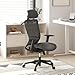 FLEXISPOT Ergonomic Office Chair, High Back Mesh Swivel Computer Chair, Executive Office Desk Chairs, with Adjustable Lumbar Support/2D Headrest/Lockable Backrest, OC3 Mesh Seat, Gray