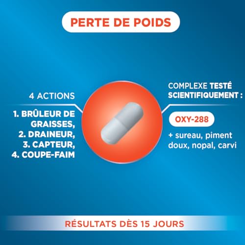 Forté Pharma - XtraSlim Chrono Perte De Poids | Complément alimentaire minceur - Bruleur de Graisse Puissant - 15 Jours de Cure – Etude Clinique - Perte de Poids Rapide Efficace | 60 gélules, 4/jour – Image 3