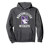 Northwestern University Wildcats Large Pullover Hoodie
