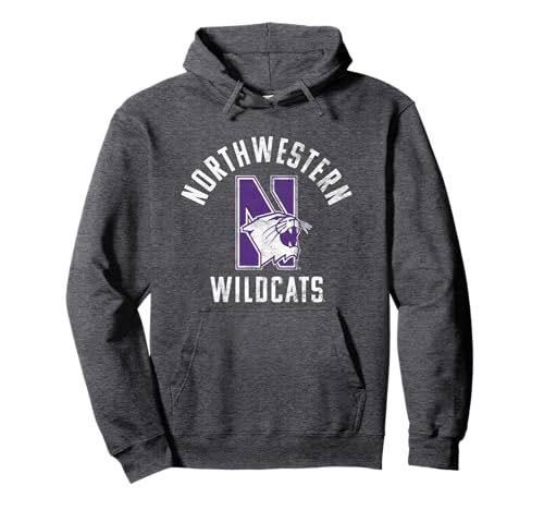 Northwestern University Wildcats Large Pullover Hoodie