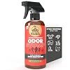 Uncle Todds Odor Stomp Sports Equipment Odor Eliminator Spray - Extra Strength Enzyme-Powered Deodorizer for Football, Hockey, Gym Bags, and Athletic Gear - Bamboo Blitz Scent - 16 oz