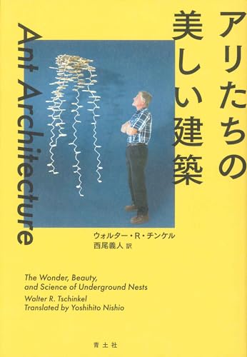 アリたちの美しい建築: 地下に広がる「アリの巣」の驚異の世界