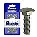 3/8-16 x 1" Carriage Bolts, Round Head, Square Neck, Stainless Steel 18-8, Full Thread, Plain Finish, Flat Point, Quantity 25 By Fastenere