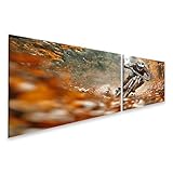 islandburner Prime Bild auf Leinwand Mountainbiker rast durch herbstlichen Wald 1 (2) für Wohnzimmer Sportler Fahrradladen Bilder Wandbilder Poster