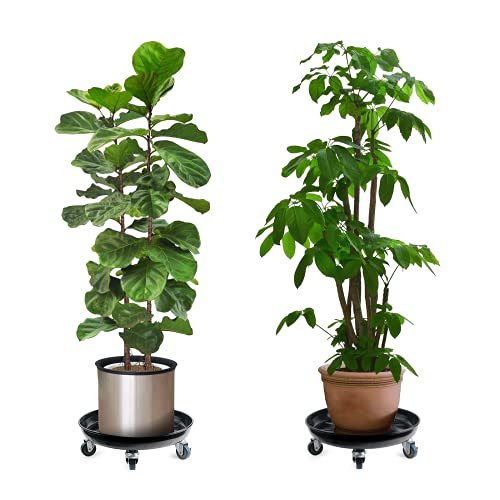 Choclaif Plant Caddy With Wheels,3 Pack Black Heavy Duty Plant Stand With Universal Wheels,Round Pot Trolley For Indoor Outdoor (12.12) #TOP6