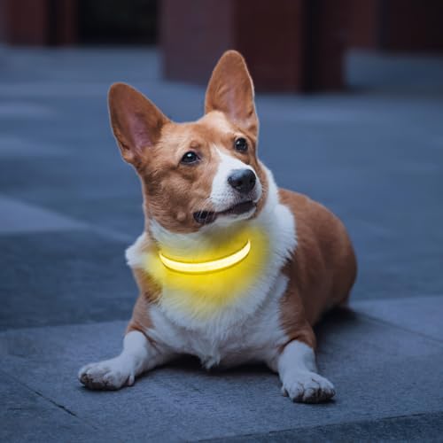 PcEoTllar Collar Luminoso Perro, Collar Luces Perro Recargable, Collar LED Perro Impermeable y 7 Colores 8 Modus, Ajustable Iluminación Collares LED para Perros Pequeño Mediano Grand, Negro-M 2 Collar Luminoso Perro Que Se Puede Cargar A Través de USB-C. En comparación con el método tradicional de reemplazo de baterías, el collar LED perro recargable se conecta a una fuente de alimentación o al puerto USB de una computadora y completa fácilmente el proceso de carga, eliminando la necesidad de comprar o reemplazar baterías con frecuencia. 2H de carga, duración de unos 10H. Tiempo de trabajo extra largo para hacer la vida más fácil.
Collar LED Perro con 7 opciones de color. Mantenga presionado el botón de encendido durante 1s para encender el collar luz perro y los 7 colores brillantes parpadearán, haciendo que el perro sea más visible en ambientes oscuros o poco iluminados, evitando que se pierda y evitando posibles accidentes o peligros. Cambie el color cada vez que presione el botón de encendido, puede elegir cualquier color. Mantenga presionado el botón de encendido durante 3s para apagarlo.
El Collar Luminoso Perros es Resistente al Agua Y Duradero. El collar luminoso para perros está hecho de material impermeable de alta calidad con interfaces selladas para proteger los circuitos internos de la interferencia de humedad, de modo que el collar tenga un excelente rendimiento y durabilidad. Si tu mascota realiza actividades al aire libre o juega en el agua (no toque el agua de mar), el collar luminoso perro PcEoTllar siempre se mantendrá bien impermeable.