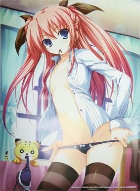 Amazon Co Jp 暁の護衛 お風呂ポスター 二階堂麗華 トモセシュンサク トモセシュンサクイラスト展 とらのあな ホビー 通販