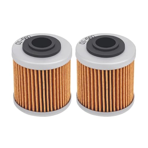 DS450 DS450X 420256455ɓKI[goCpICtB^[(2 pcs)