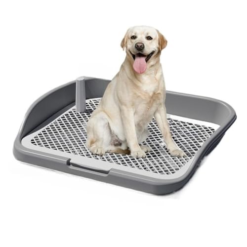 GIUPLFDTG pgCAnCtFXA^A^ɓKĂ܂ (O[)