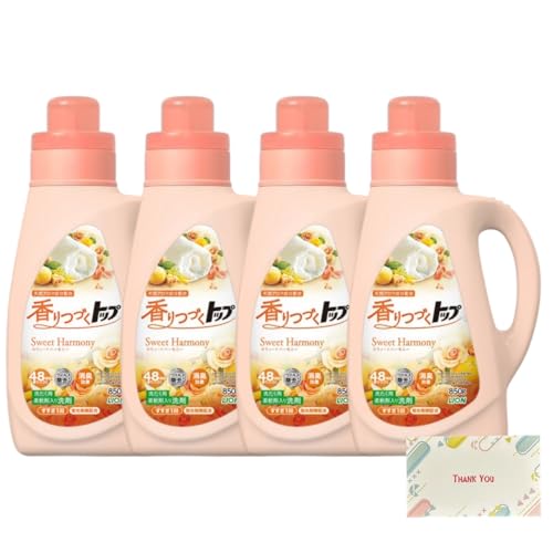 [܂Ƃߔ] CI Âgbv XEB[gn[j[ uܖz _ܓ  t { 850g + KunutonnIWiSe܂t 4Zbg