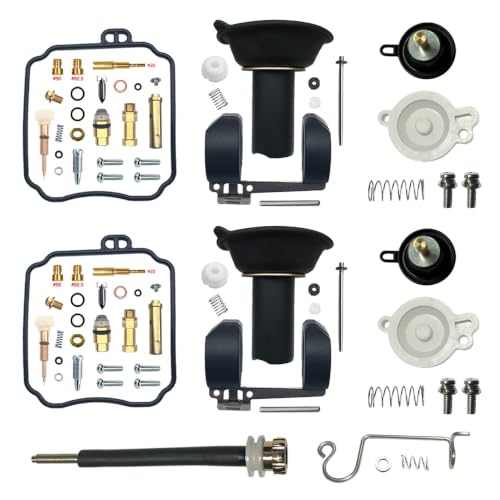 Kit de reparation carburateur XVS650 Drag Star 1997-2017 avec vis de richesse complete BSR28