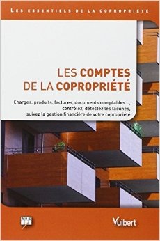 Télécharger Les comptes de la copropriété : Charges, produits, factures, documents comptables ..., contrôlez, PDF Ebook En Ligne