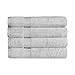 SUPERIOR Egyptian Cotton 4-Piece Bath Towel Set for Shower, Bath, Spa, Resort, Hotel, Soft Body Towels, Airbnb Essentials, Apartment, Dorm, Quick Dry, Absorbent, Bathroom Basics, Silver
