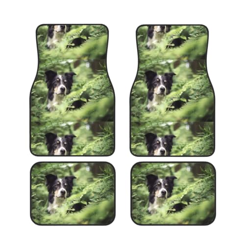 Alfombrillas para coche Border Collie ideales para viajes con mascotas y días de campo