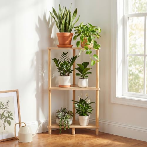 Hometopia Eckregal 78cm Holz mit 3 Ebenen Standregal Dreieck Bücherregal klein als Raumteiler Regal & Aufbewahrungsregal Offenes Regal für Wohnzimmer Schlafzimmer Büro Badezimmer