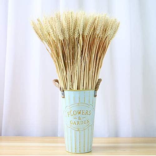 100pcs Artificial Flower Artificial Plant Large Wheat Dried Flowers Natural Dried Wheat Sheaves, Dried Wheat Stalks Bunches, Real Wheat for Wreath Supplies DIY Home Table Wedding Xmas Decor (White)