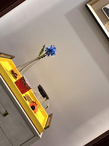 WV Yellow Modern Decorative Tray Faux Calfskin Finish with Champagne Gold Stainless Steel Handles (Yellow Faux Calfskin)