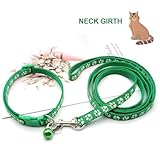 Hundehalsband und Leine, Halsband und Leine für kleine Hunde, Hundehalsbänder, hundehalsband, Bequeme verstellbares Hundehalsband, Hundehalsband und Leine Set, Welpenhalsband,Grün
