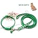 Hundehalsband und Leine, Halsband und Leine für kleine Hunde, Hundehalsbänder, hundehalsband, Bequeme verstellbares Hundehalsband, Hundehalsband und Leine Set, Welpenhalsband,Grün