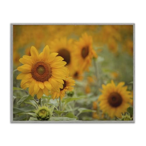 'Sunflower Field Nature Blooms'| Framed Giclee Art