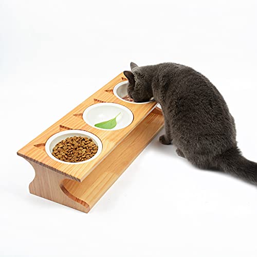 Best Elevated Cat Food Stations