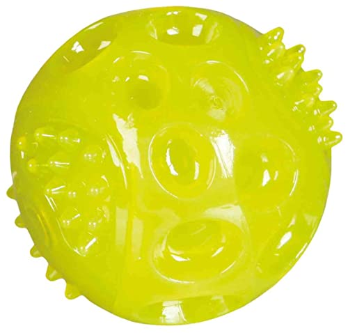 TRIXIE 3356 Dog Activity Dog Disc, bissfest, ø 23 cm, Sortiert (Packung mit 2)