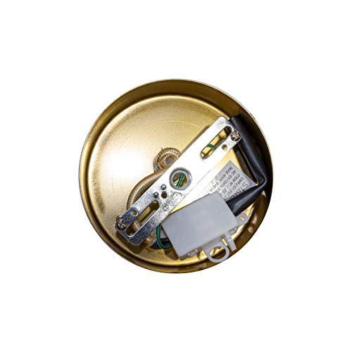 Pendente Grape Bronze e Ambar + LED G9 5W Branco Quente 220V St1758