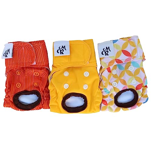 Cat Diaper The 15 best products compared Wild Explained