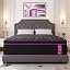 Black & Purple