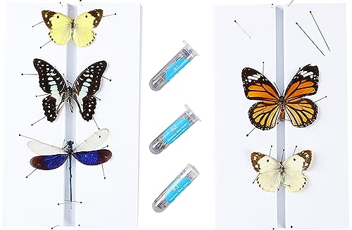 Image of Making Insect Specimen Tools Kit, (300Pcs Insect Pins in Size #1,2,3) & (2 Pack Insect Pinning Boards), Insect Collection Craft Tools for School Lab Science Education Project /Bug Hobbyist