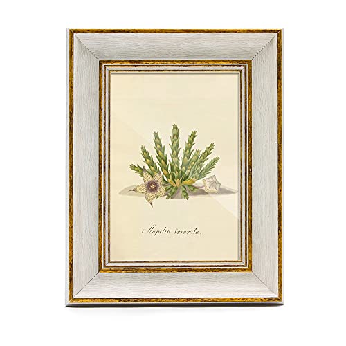 Sapowerntus Vintage 4X6 Picture Frame White Distressed Gold Edging Photo Frames Set Antique Farmhouse Real Glass Wall Hanging Tabletop Display Home Decor Wooden Grain Unique Gift #TOP7
