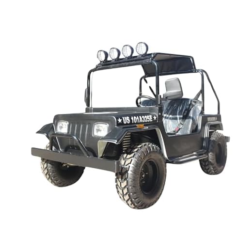 Mini Trail Rider 3000W Electric Golf Kart