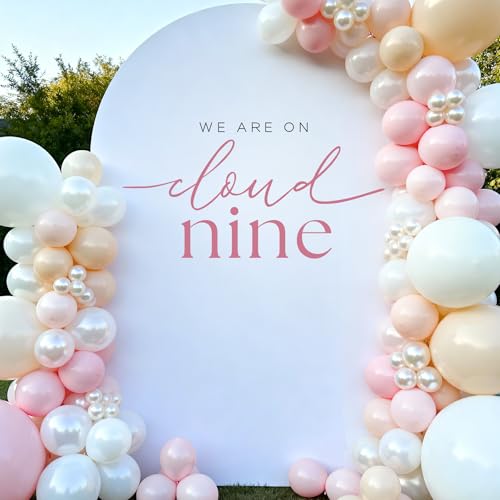 Aoemon On Cloud Nine Baby Shower Decorations Pink - Peel and Stick We are On Cloud Decor Themed Balloon Arch Backdrop Sign Stickers, 1St Birthday Party Supplies Wall Decor for Girls (Pink)