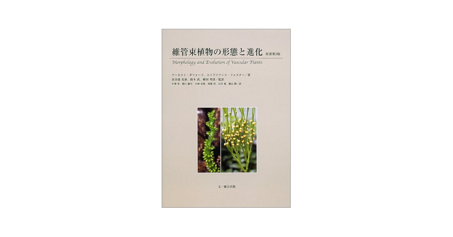 民族植物学 原理と応用 民族植物学 / コットン，C．M．【著