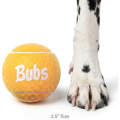 BubS Premium Durable Squeaker Balls for Dogs & Cats 3-Pack (2.5 inch) Tennis Ball Style, Bouncy, Interactive, Safe & Long Lasting Fetch Pet Toys for Endless Fun (Large)