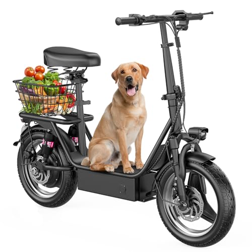 Electric Scooter with Seat 25/35 Mile Range