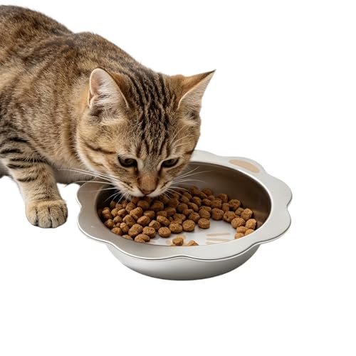 Futternäpfe für Haustiere, klein, erhöht, Edelstahl, Schnurrhaar- freundlich, für kleine, mittelgroße und große Welpen, Kätzchen, drinnen und draußen, tägliche Reisen, Balkon, Zwinger
