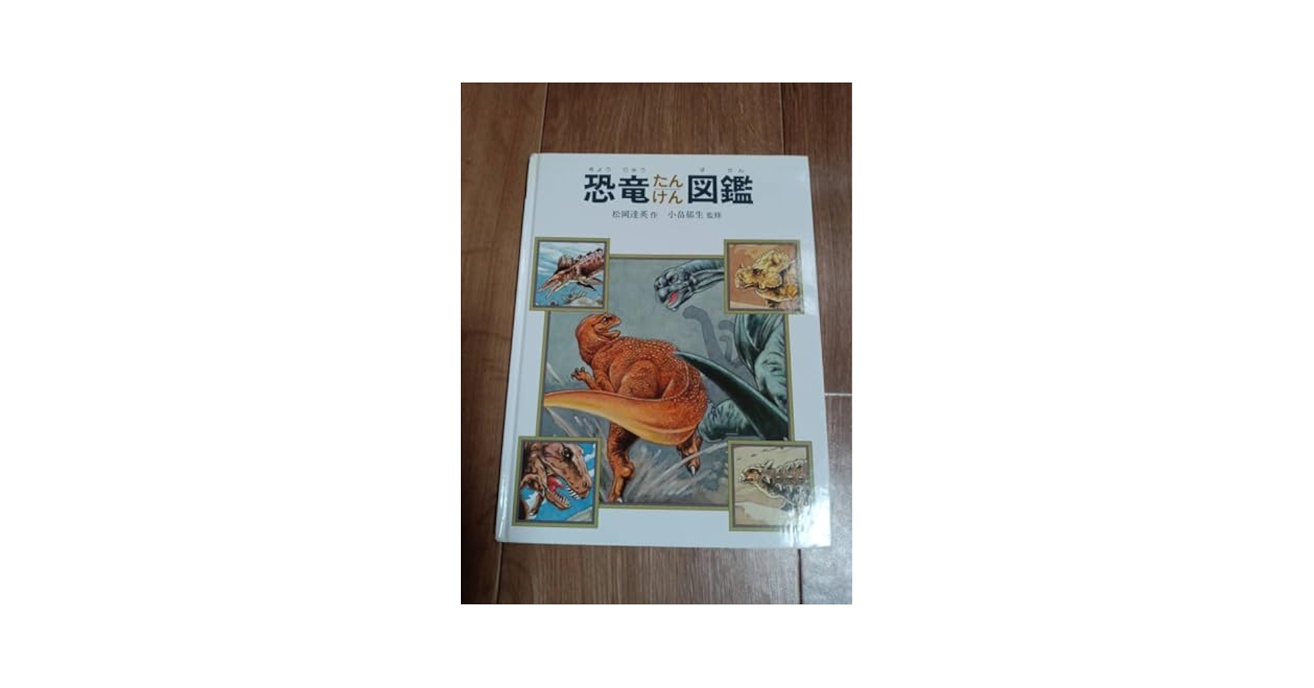 岩崎書店　絵本図鑑シリーズ　全３１巻 岩崎書店 絵本図鑑シリーズ 全31巻