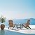 Plawdlik Folding Adirondack Chair, SGS Tested, Wooden Textured with Cup Holder, Heavy All-Weather HDPE Comfortable Set Poolside Backyard Lawn Teak