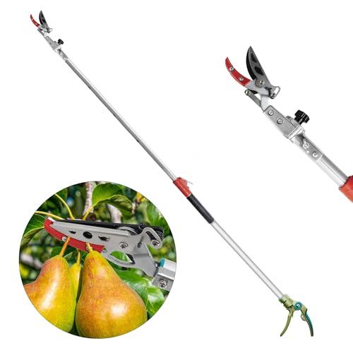 FLORA GUARD Teleskop Astschere,1,6-2,5 m, ausziehbar – leicht und robust, Obstpflücker mit rotierendem Klingenkopf, leichter ausziehbarer Aluminiumgriff für Astschneider