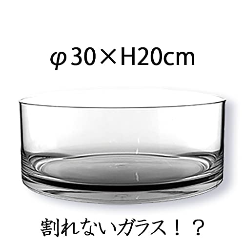 Amazon.co.jp: FOYER 割れない 花瓶 フラワーベース ポリカーボネート