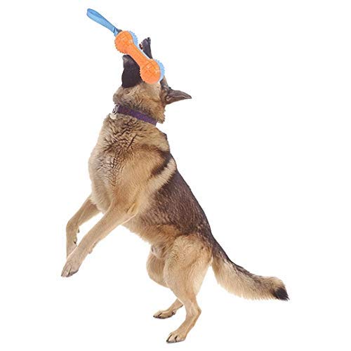 PETLICIOUS & MORE TPR Squeaky Handle Dumbbell Chew Toy for Dogs & Puppies - Dumbbell 3