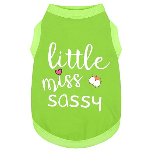 Paiaite t@bViuȃm[X[uybgxXg:uLittle Miss SassyvvgRbghbOVcA^A^A^ɍœKAKƒʋCm O[ 3XL